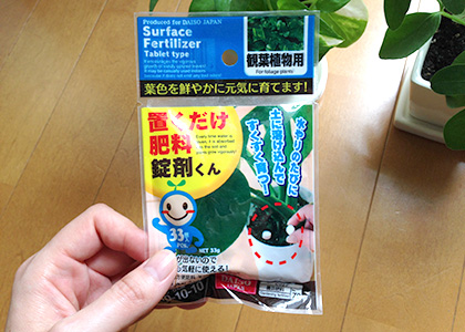 観葉植物のポトスに100円ショップの肥料を与えたらこんな風になりました ぴらめこな生活